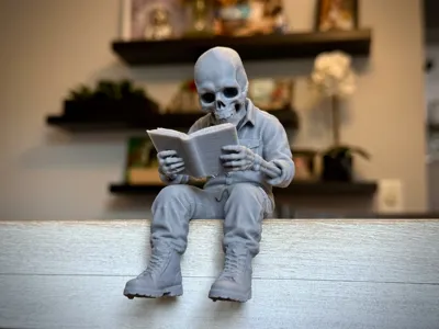 The Reader - Skull Edge Sitter